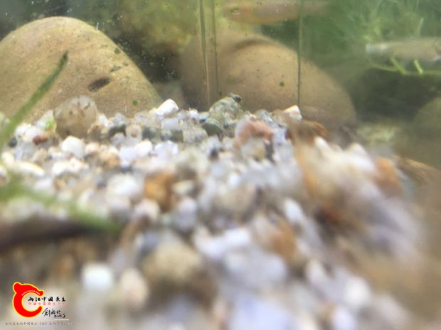 宽带裂身，你有吗？