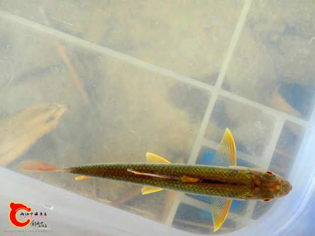 DSC00043_副本.jpg