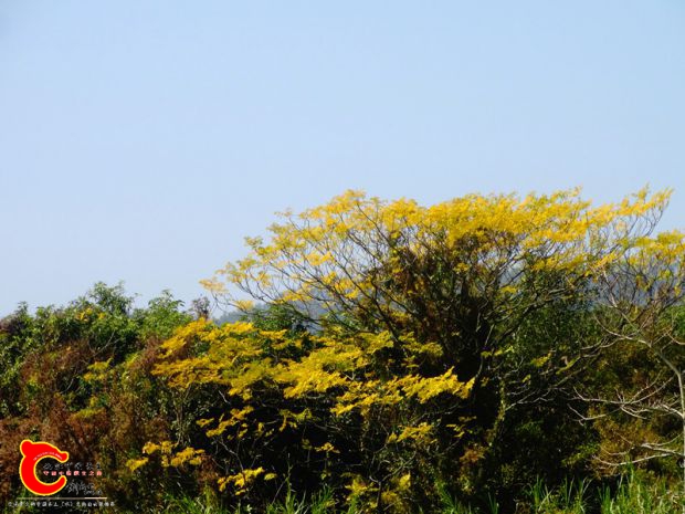 DSC00053_副本.jpg