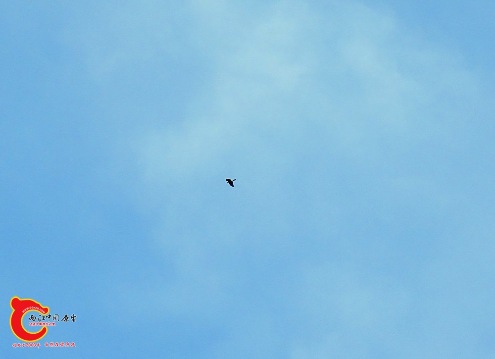 DSC00404.JPG