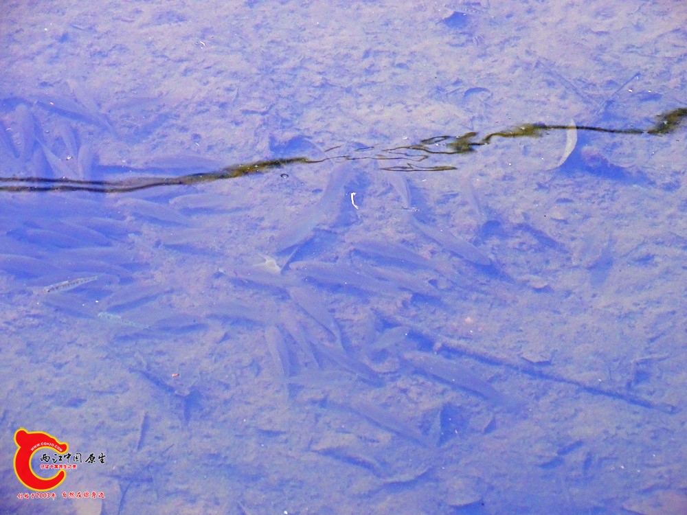 DSC00411.JPG