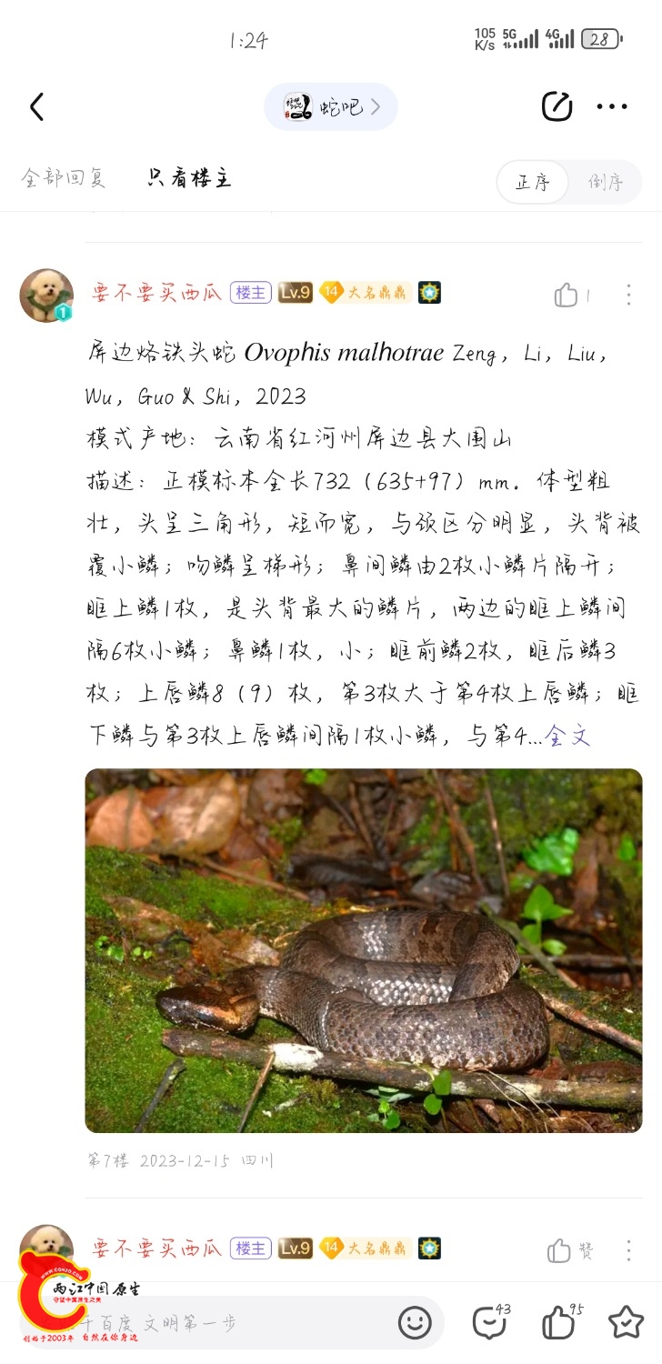 Screenshot_20240803_132402_com.baidu.tieba.jpg