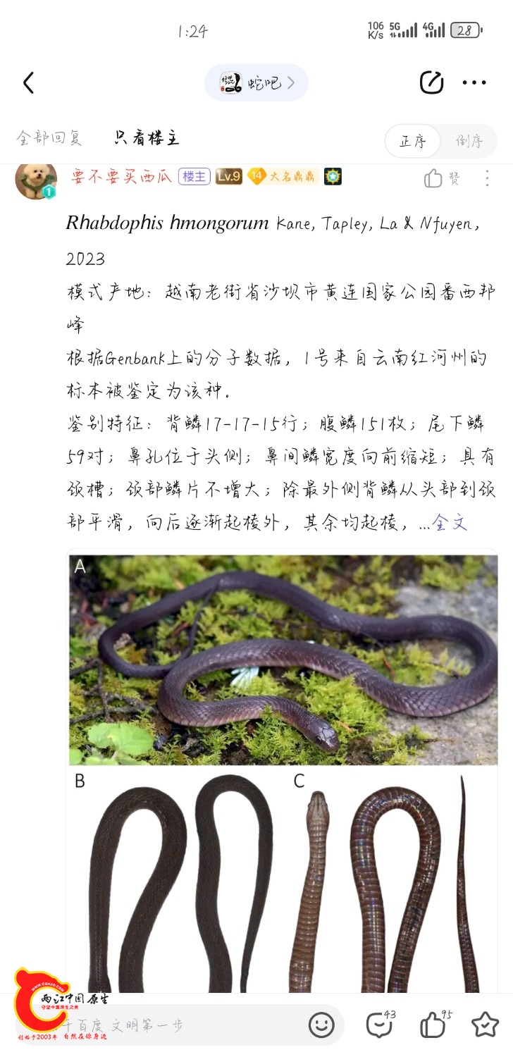 Screenshot_20240803_132417_com.baidu.tieba.jpg