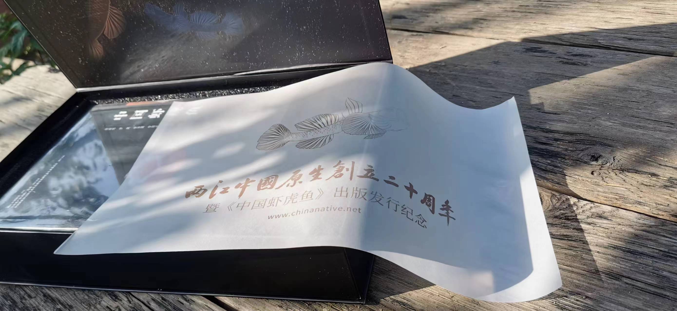 微信图片_20241011112114.jpg