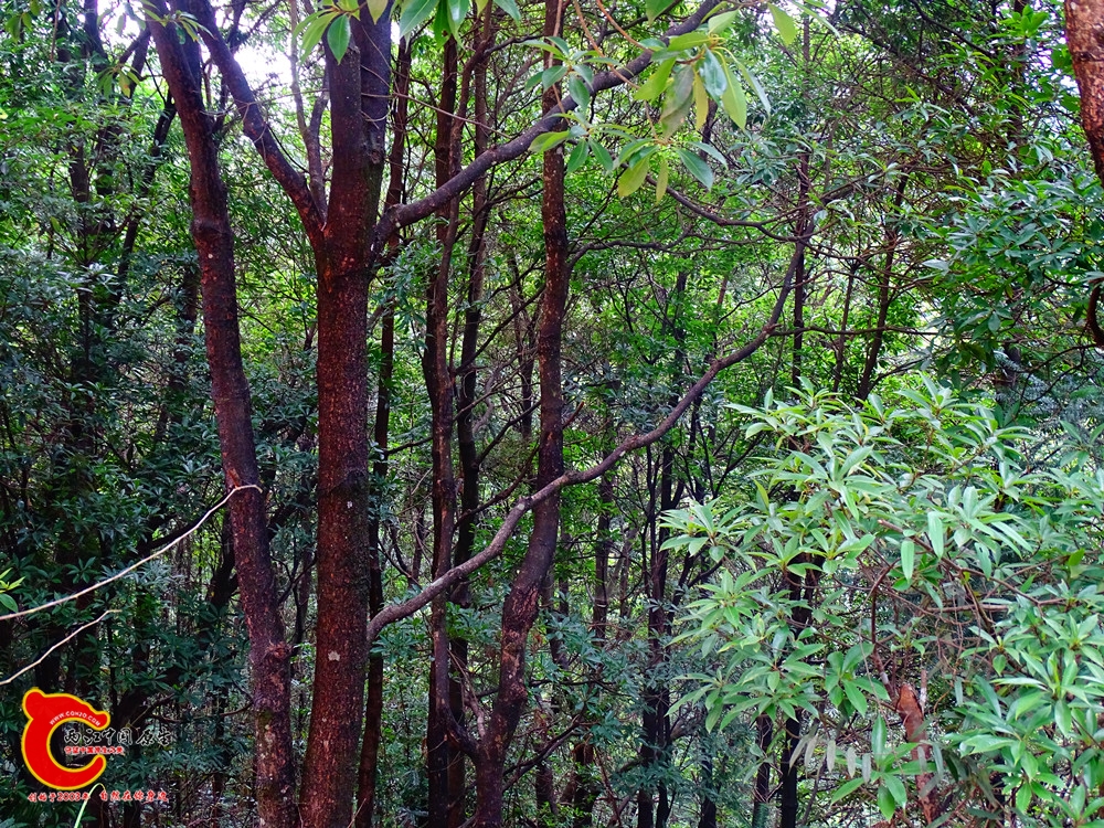 DSC01473.JPG