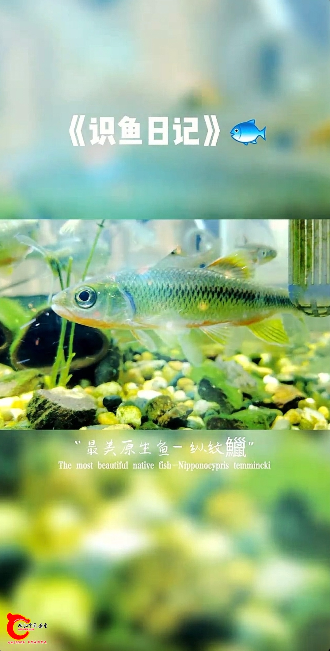 wechat_upload17294143216714c4b1c4e26