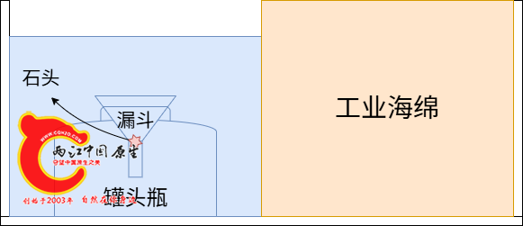 第一原生鱼4.drawio.png