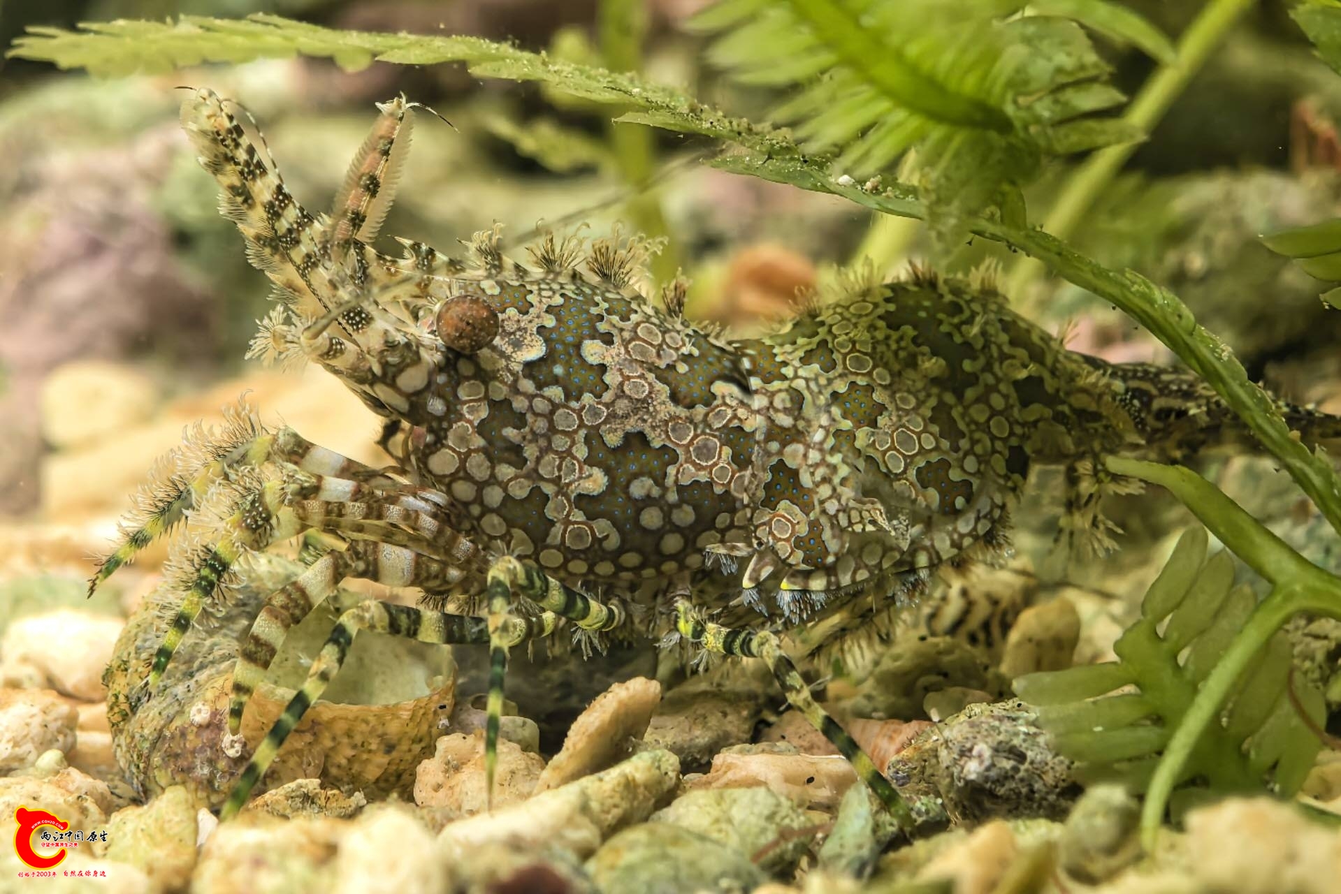 wechat_upload17543904116891df8b67fef