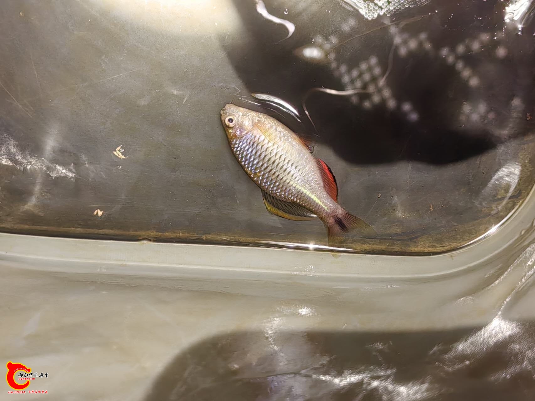 wechat_upload17616619566900d404e19ca