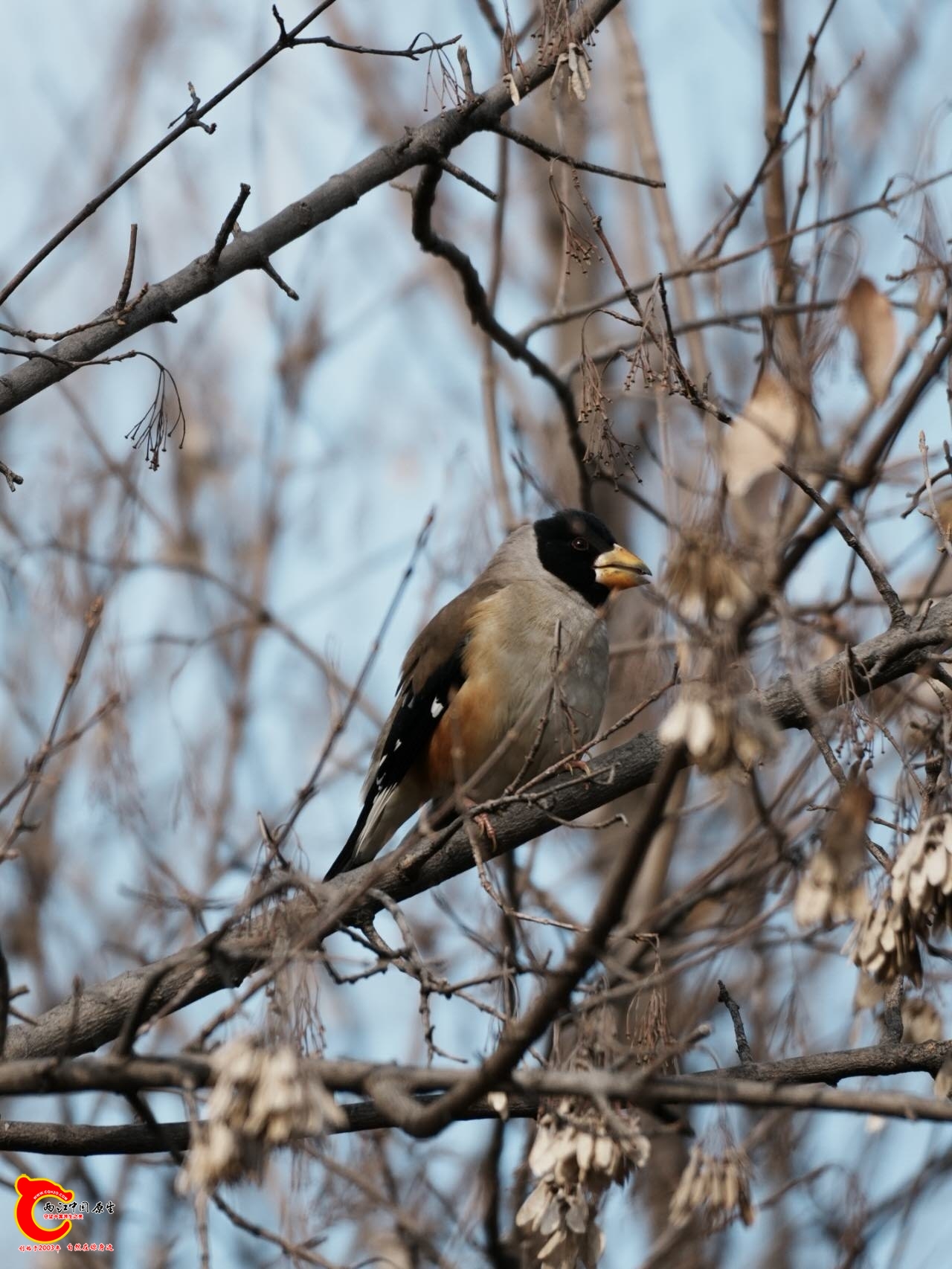 wechat_upload17663074426947b6723a1ff