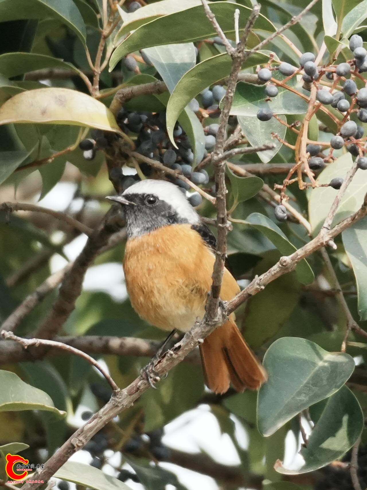 wechat_upload17663074446947b674d13ee