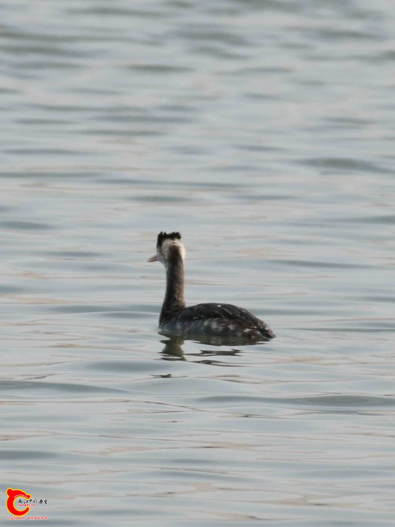 wechat_upload17663074446947b674418fa