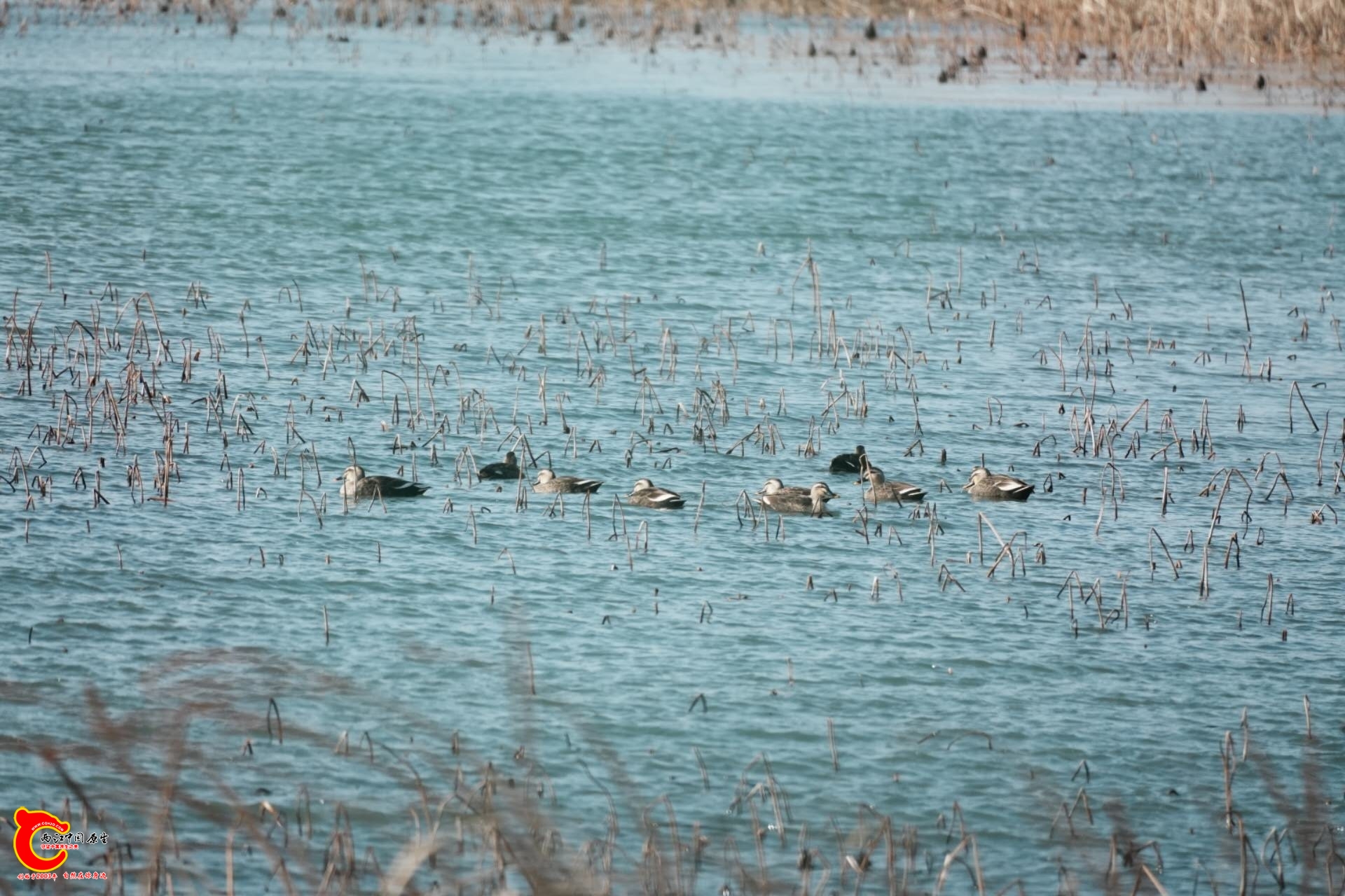 wechat_upload1768048813696248add399b