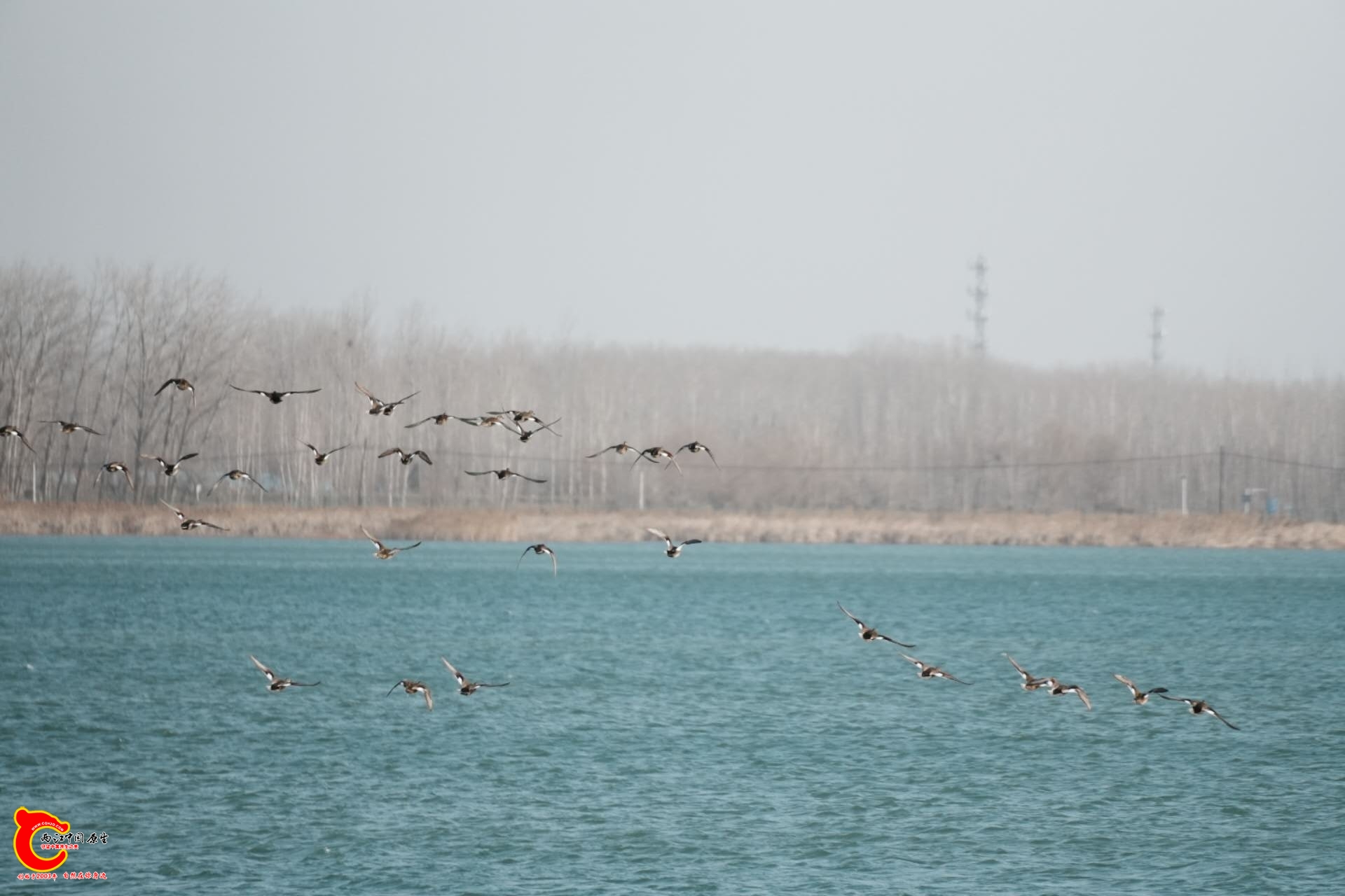 wechat_upload1768048813696248ad36b9f