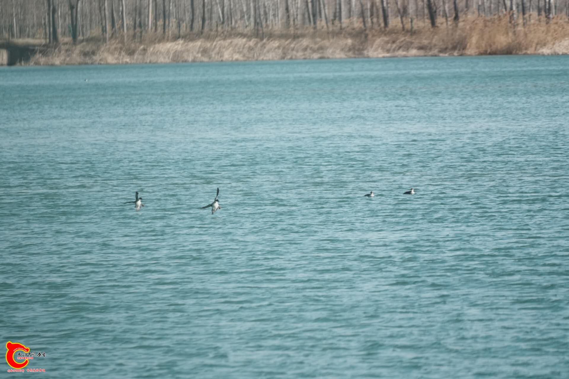 wechat_upload1768048815696248af86c0d