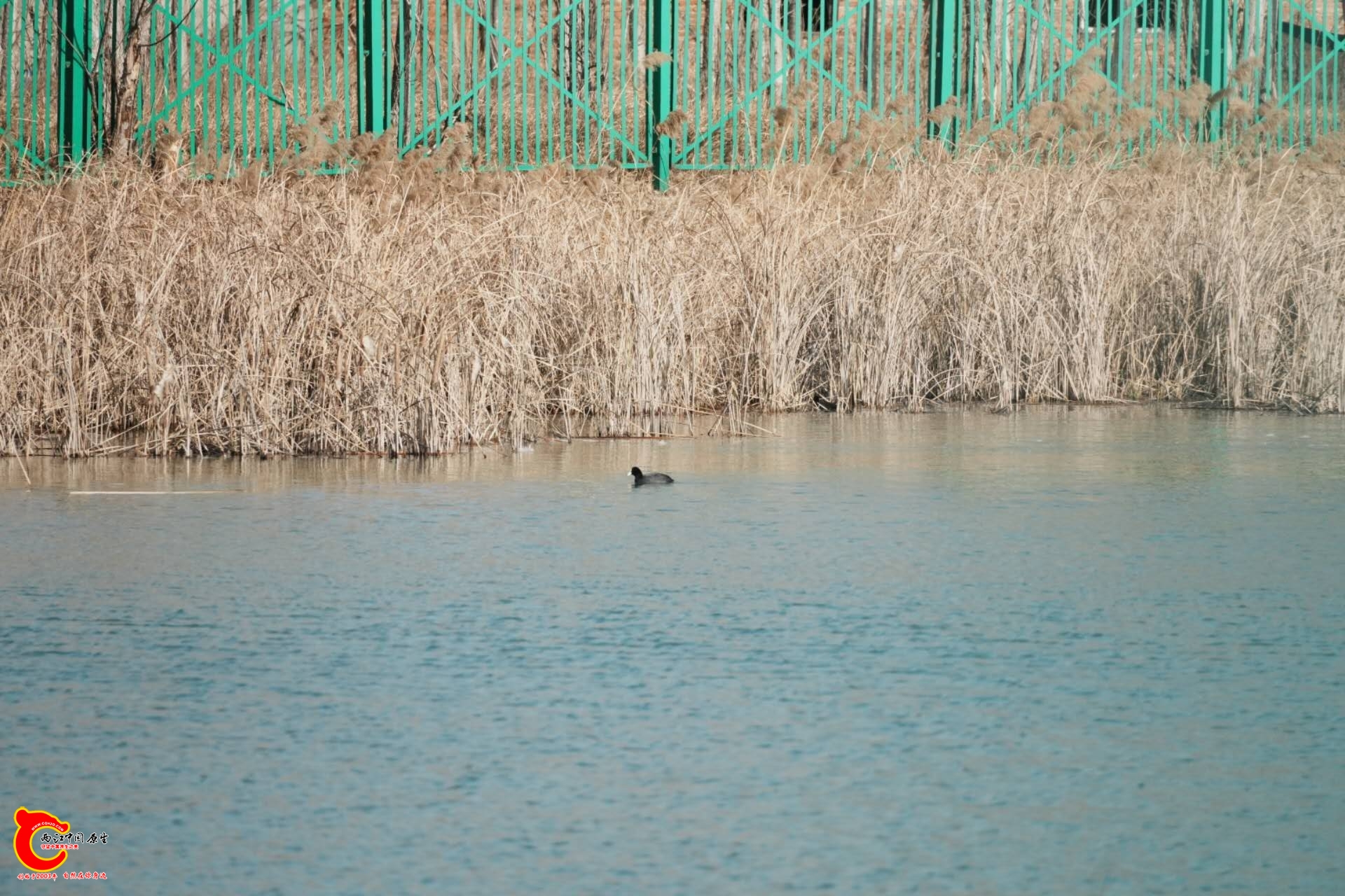 wechat_upload1768048816696248b029d9a