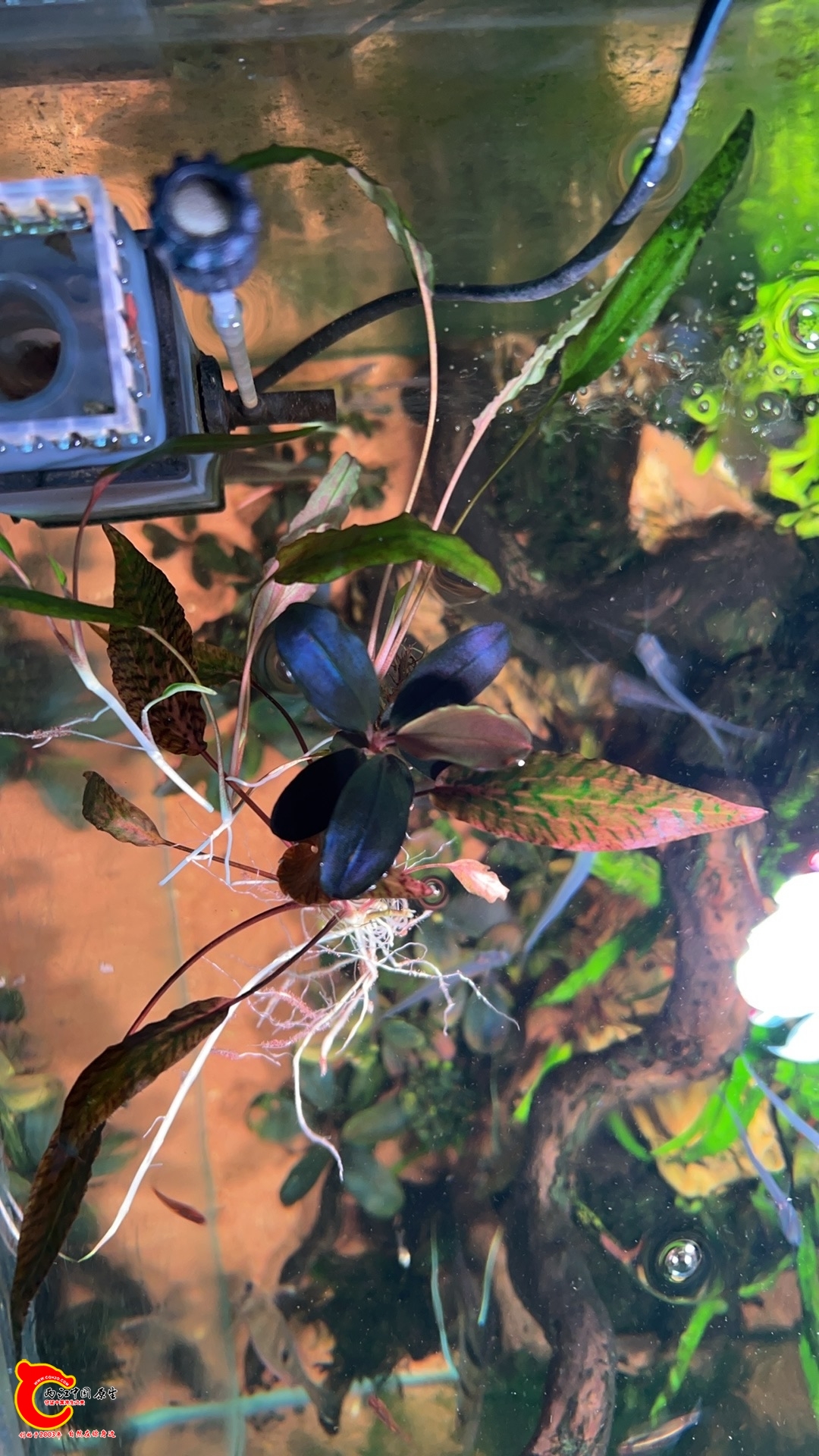 wechat_upload1770881093698d80451cd12