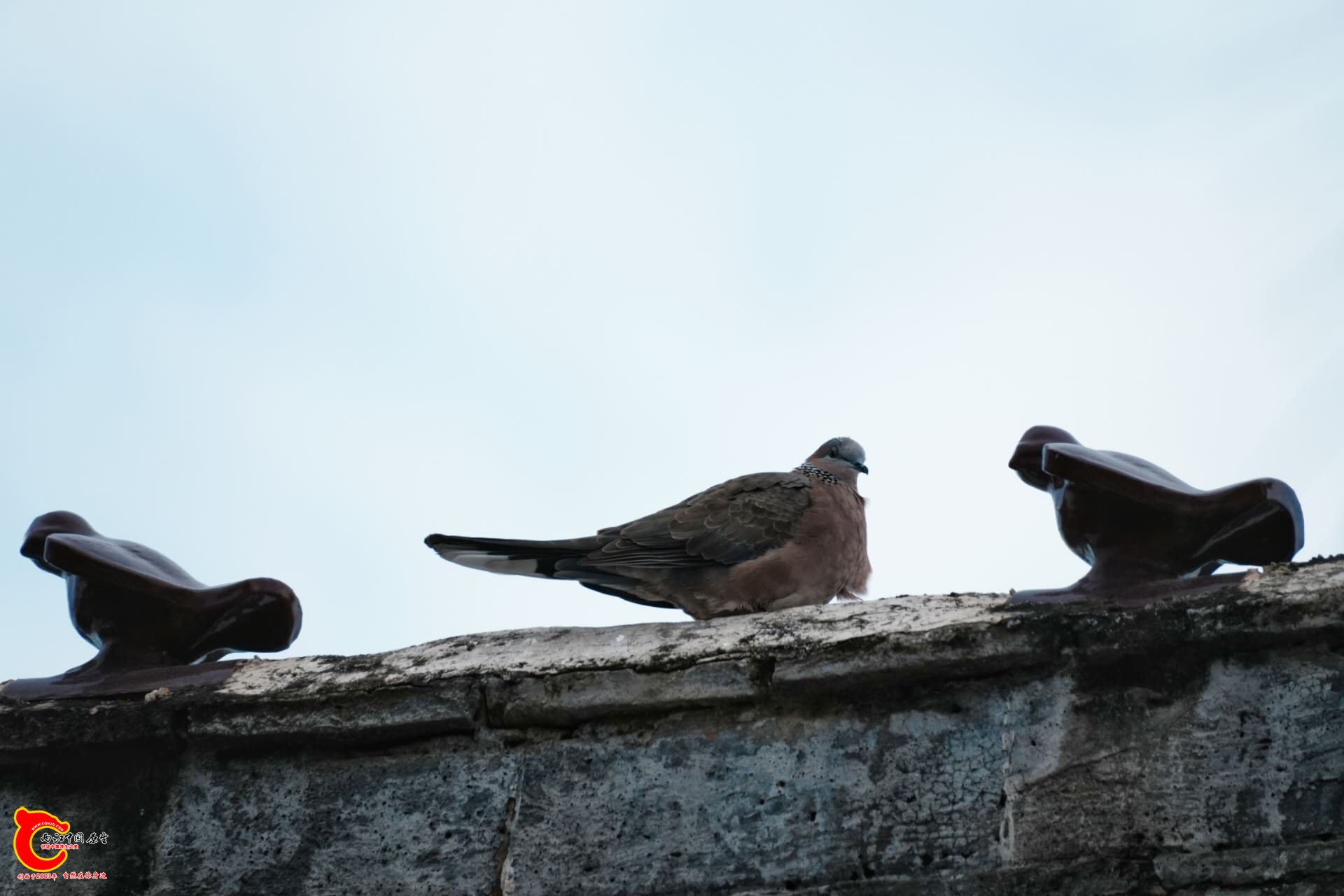 wechat_upload17712349886992e6acc4731