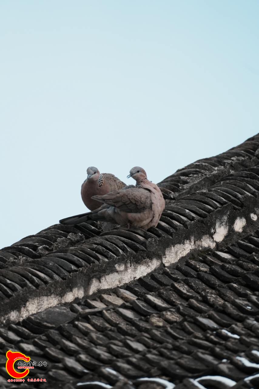 wechat_upload17712349906992e6ae6445f