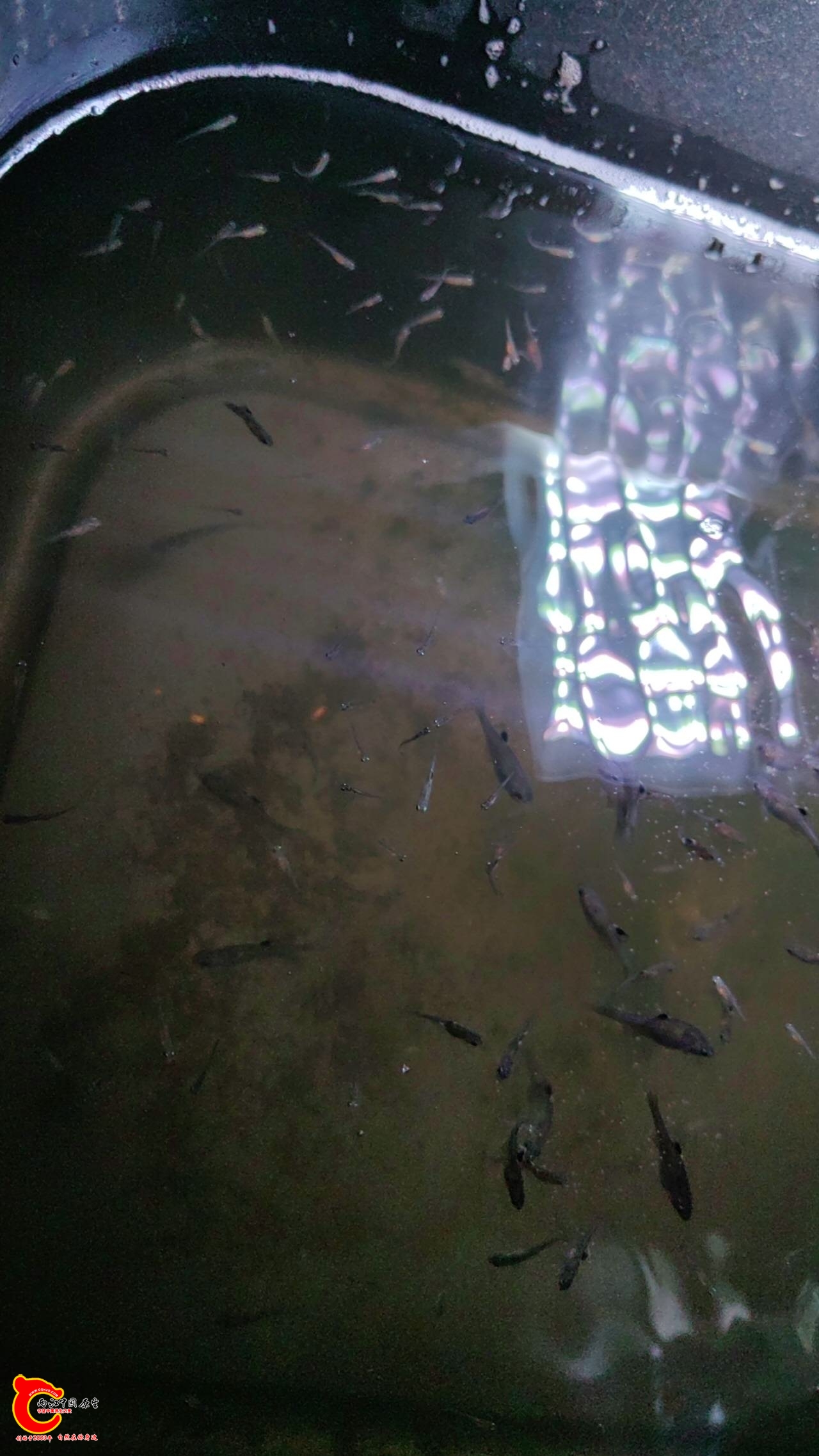 wechat_upload177229318969a30c451f849