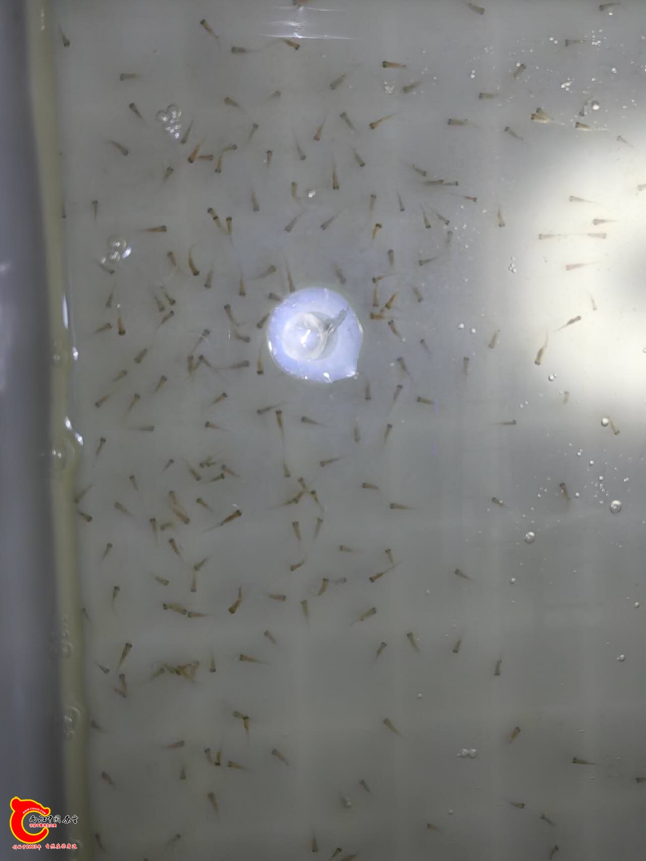 wechat_upload177229319069a30c462f5d8