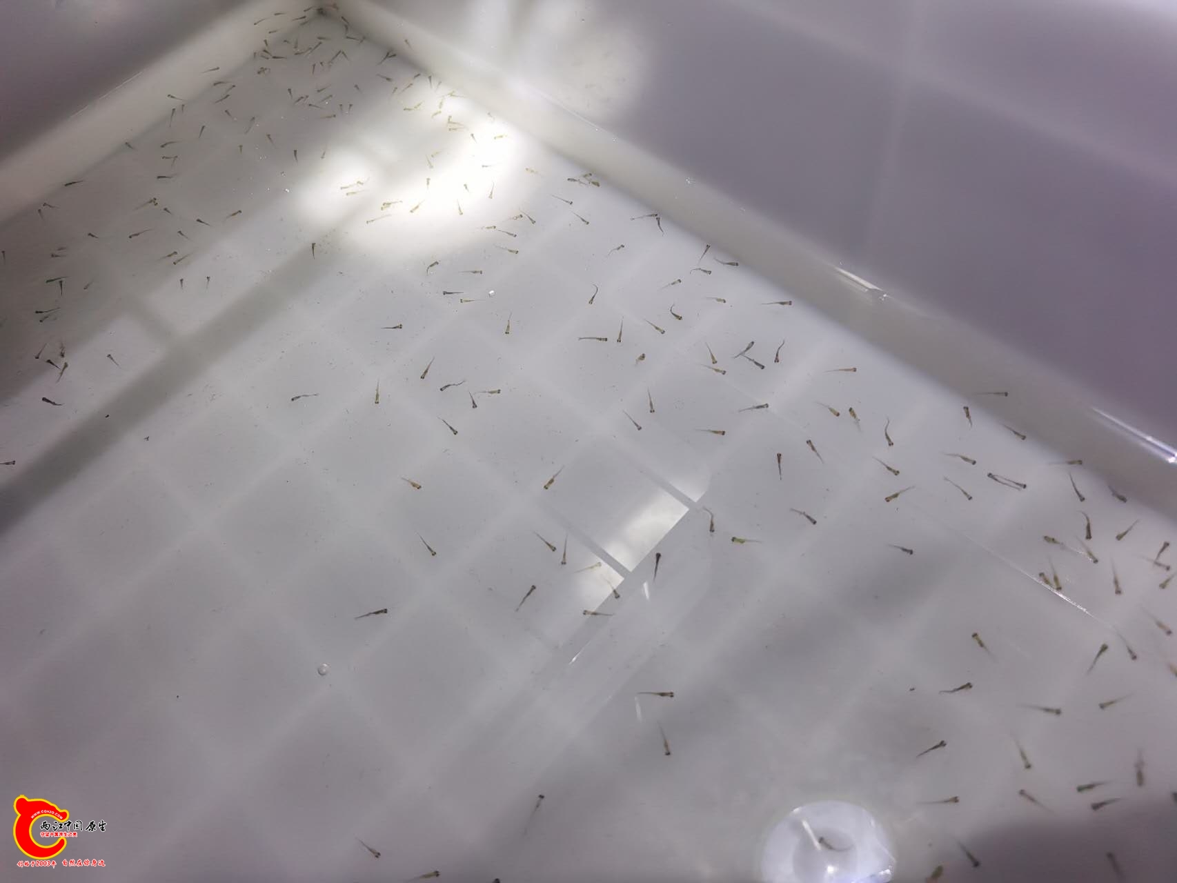 wechat_upload177229319169a30c47a23b6