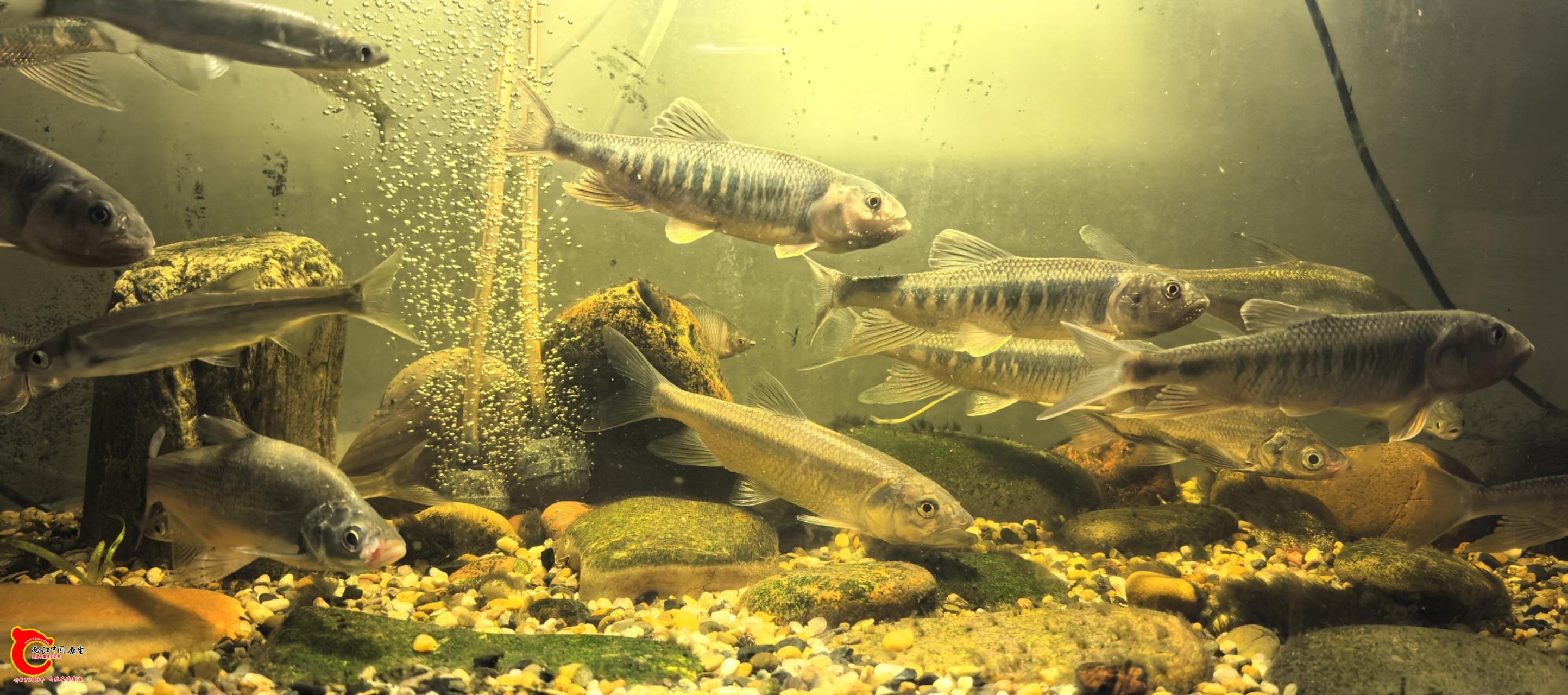 wechat_upload177548847369d3cdd93e1c6