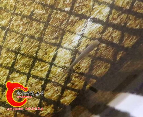 QQ20260426-134509.png