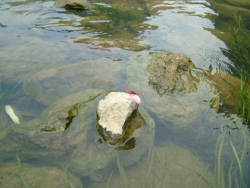2005国庆桂林游