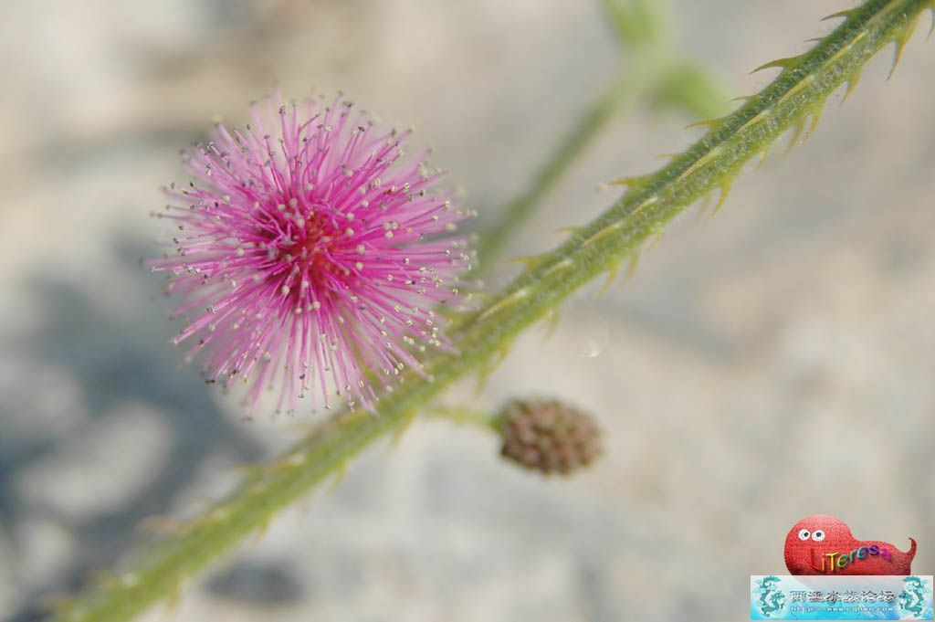 广东茂名行（11月6日—11月10日）