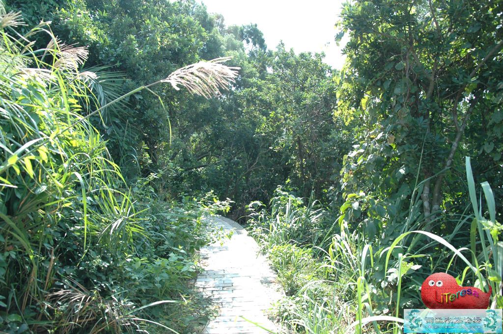 广东茂名行（11月6日—11月10日）