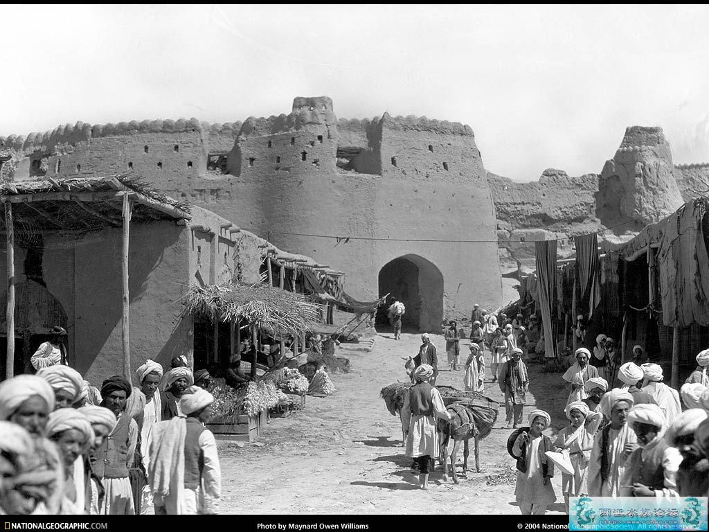 誓将此贴，顶上1000楼。国家地理2001-2005年度图片！