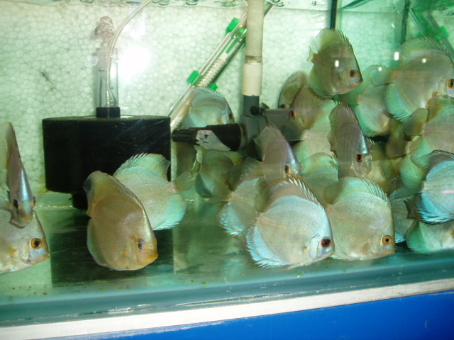 6月9日到七彩图片欣赏1