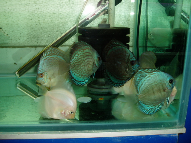 6月9日到七彩图片欣赏1