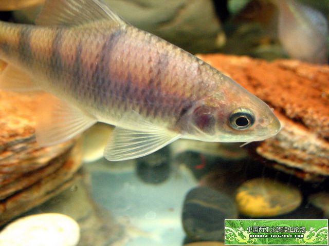 冬天不冷！新收集-彩虹光唇！！