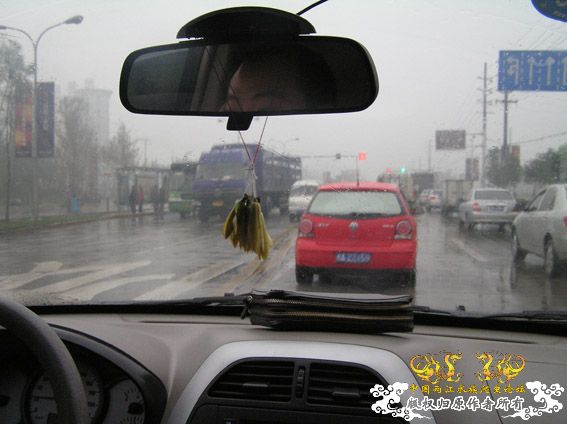 11月10日野采，鱼虾篇！