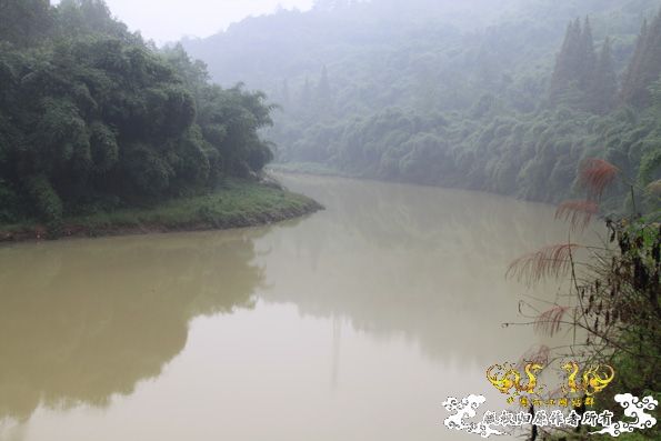 采的这些都是什么鱼啊？