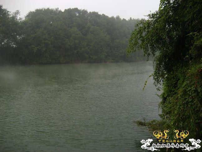 一探雄村