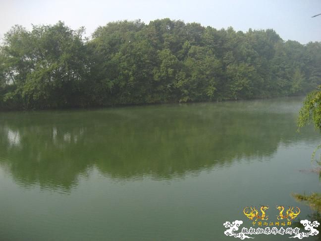 一探雄村