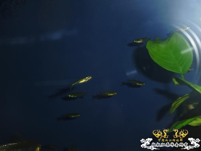 [贴图]刚拍的··给大家看看················