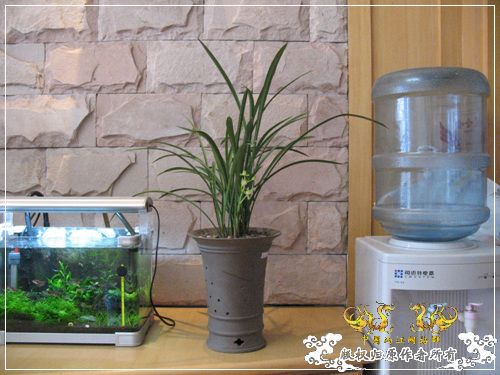 一枝青玉半枝妍