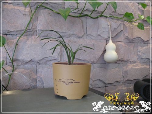 一枝青玉半枝妍