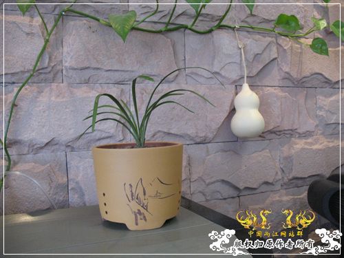 一枝青玉半枝妍