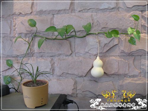 一枝青玉半枝妍