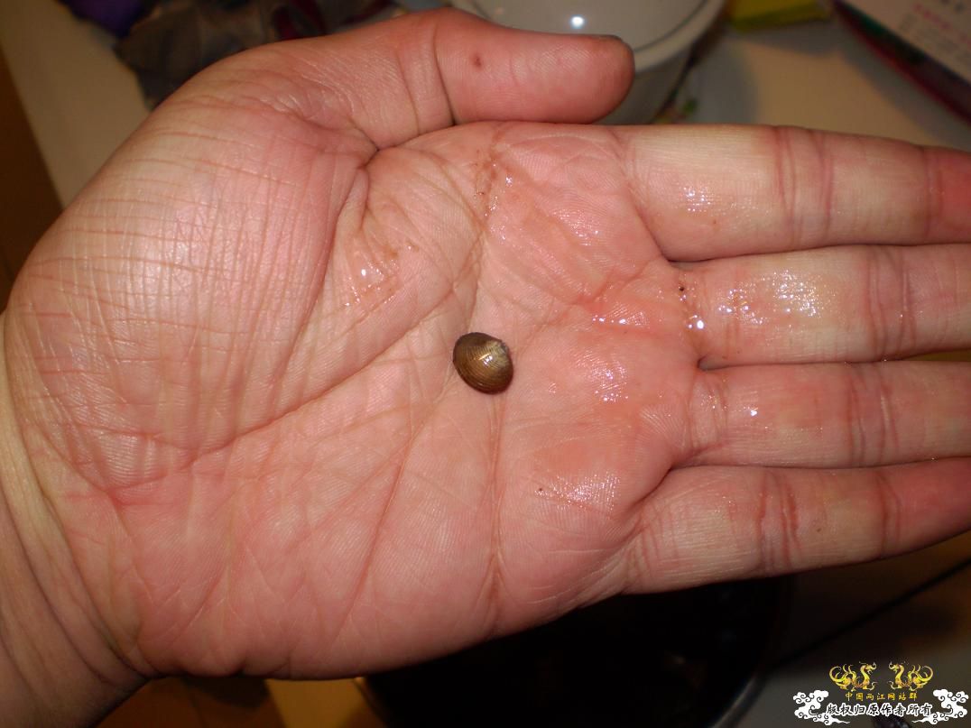 河边小溜的战果