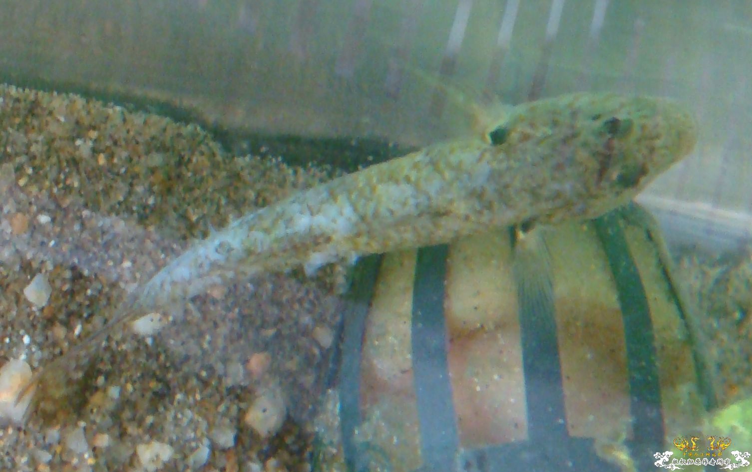 各位老大看看，啥毛病啊。