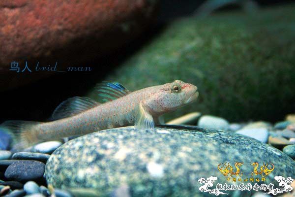 佳能400D套头随拍