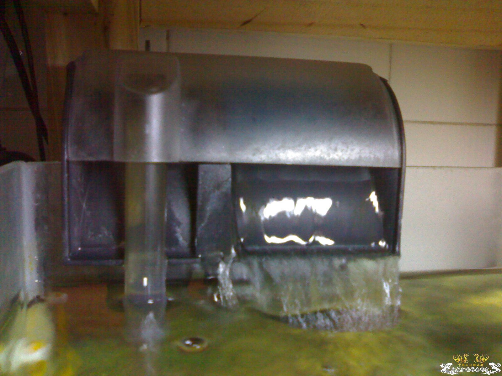 出小缸，换潜水泵