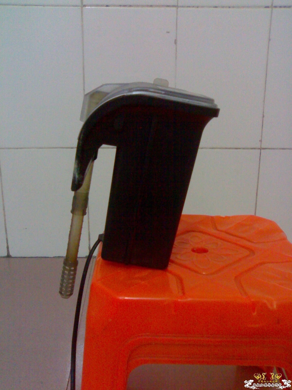 出小缸，换潜水泵