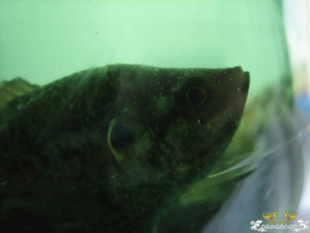 这个站终于能上了。。收获